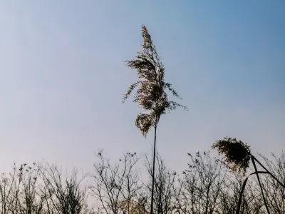 Bit4win Casino Mobilna aplikacija